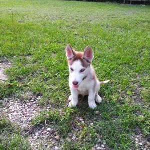 Meet your Posher, Miguel